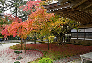 雷山 千如寺大悲王院