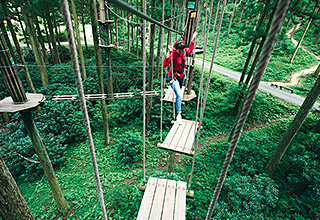 フォレストアドベンチャー