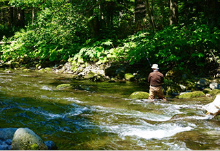 渓流釣り