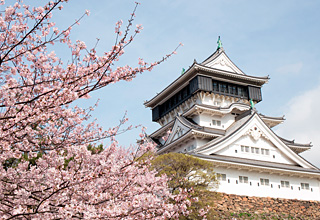 唐津・呼子方面観光